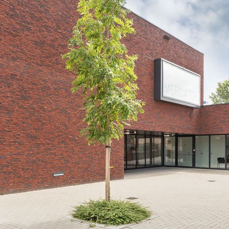 Project showcasing the red alverton multi linear brick