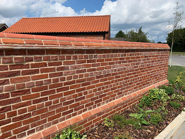 Efflorescence in brick wall