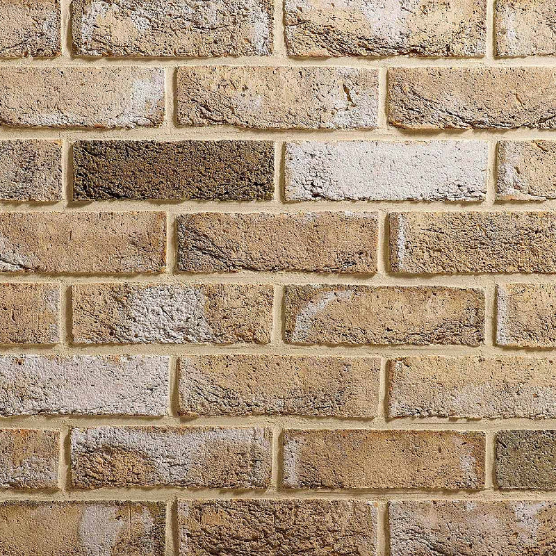 A close up image showcasing the colours and textures of the Mystique brick.