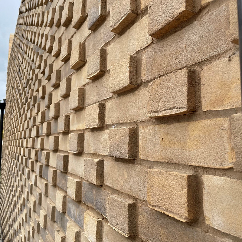 Olde English Buff Multi example