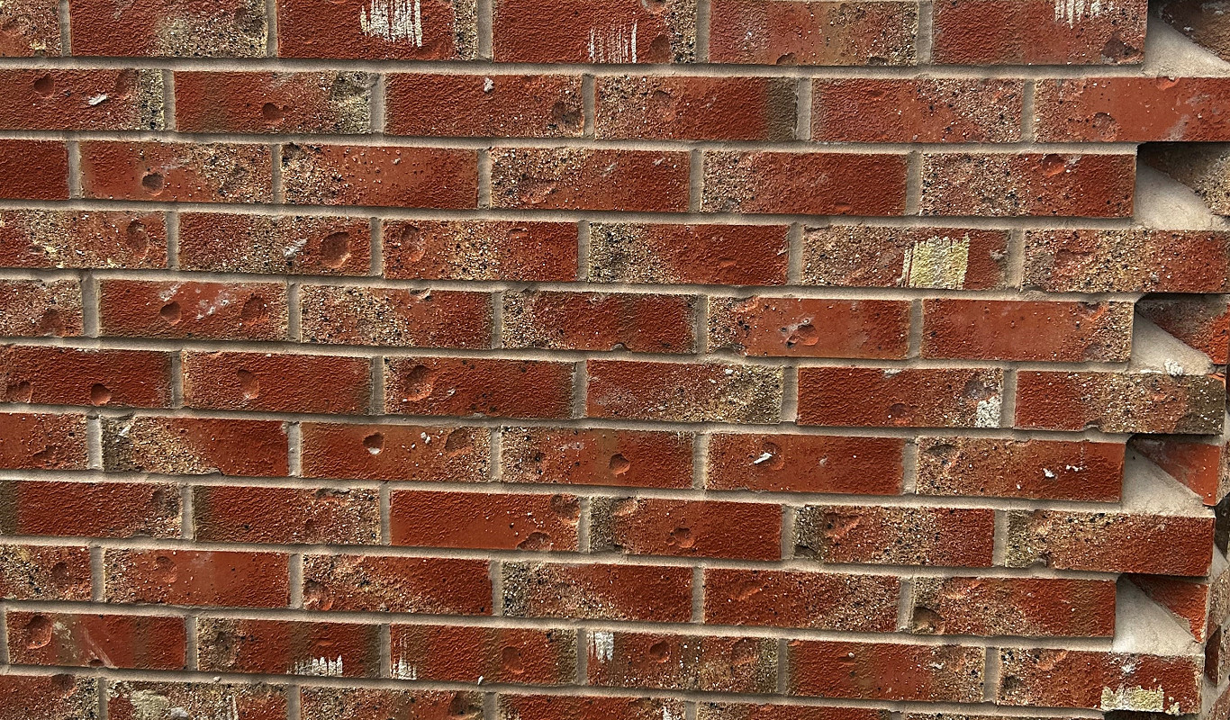 wirecut bricks