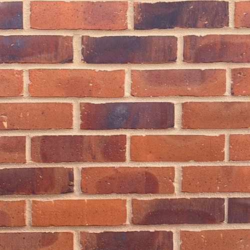 Staunton Russet Mixture
