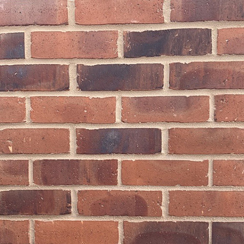 Staunton Russet Mixture