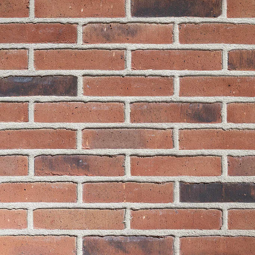 Staunton Russet Mixture