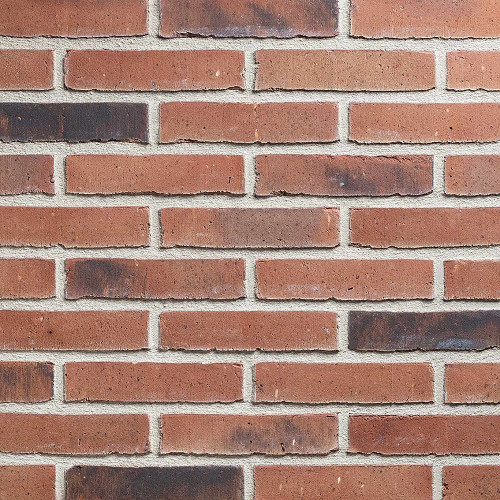 Staunton Russet Mixture