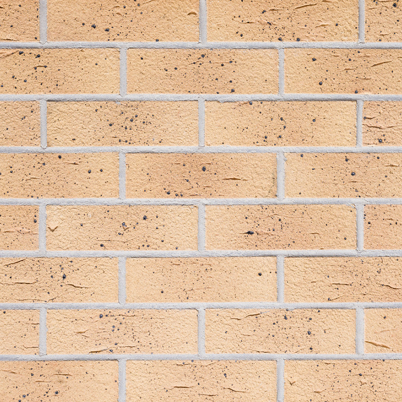 Tamisa Wirecut Brick Panel