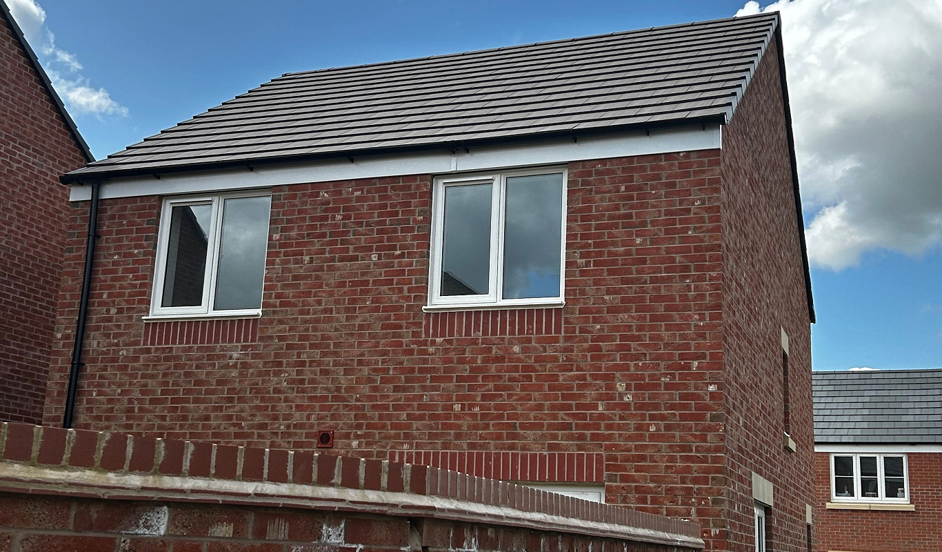 wirecut bricks